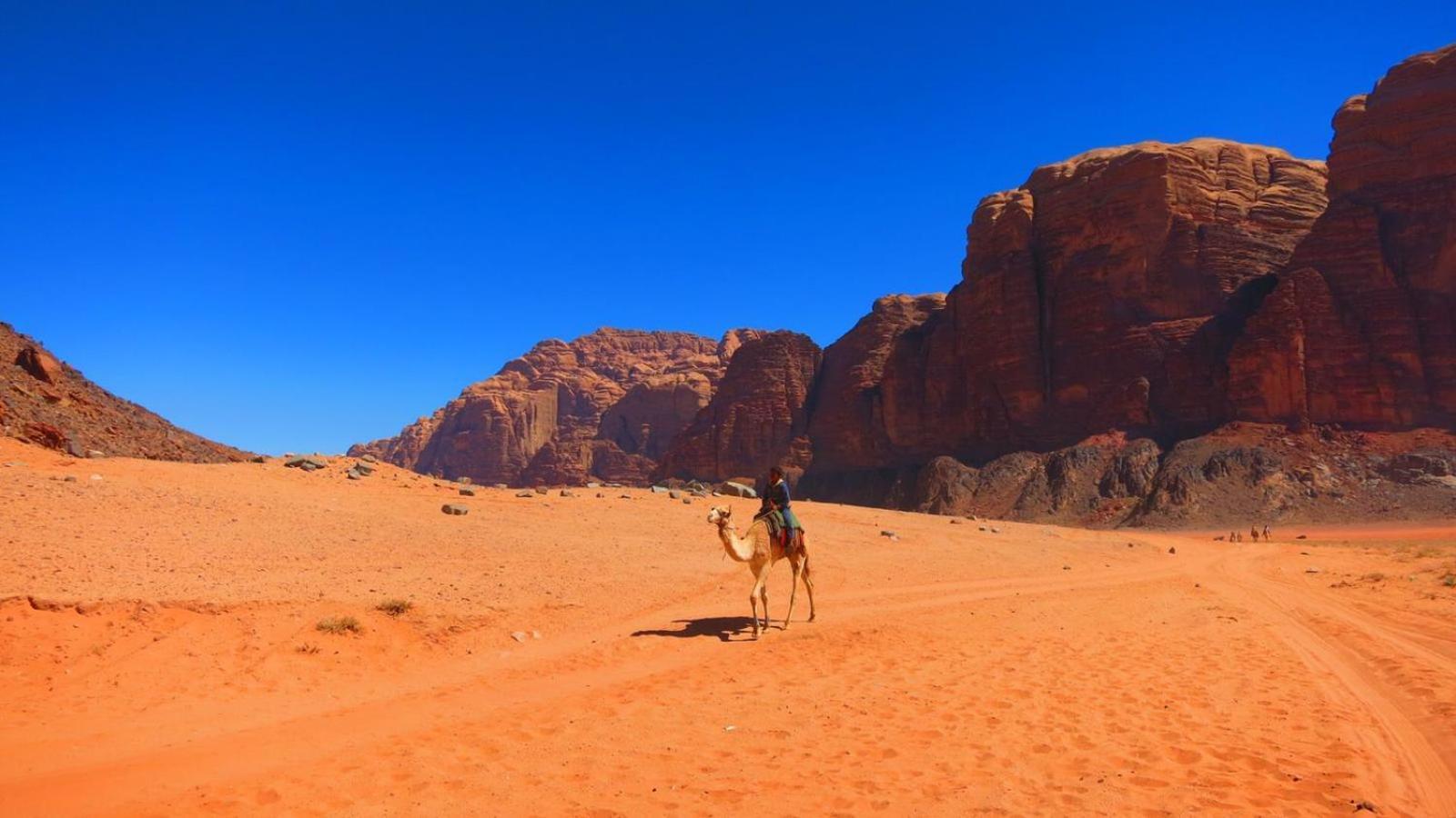 Wadi Rum Magic Nature Camp ภายนอก รูปภาพ