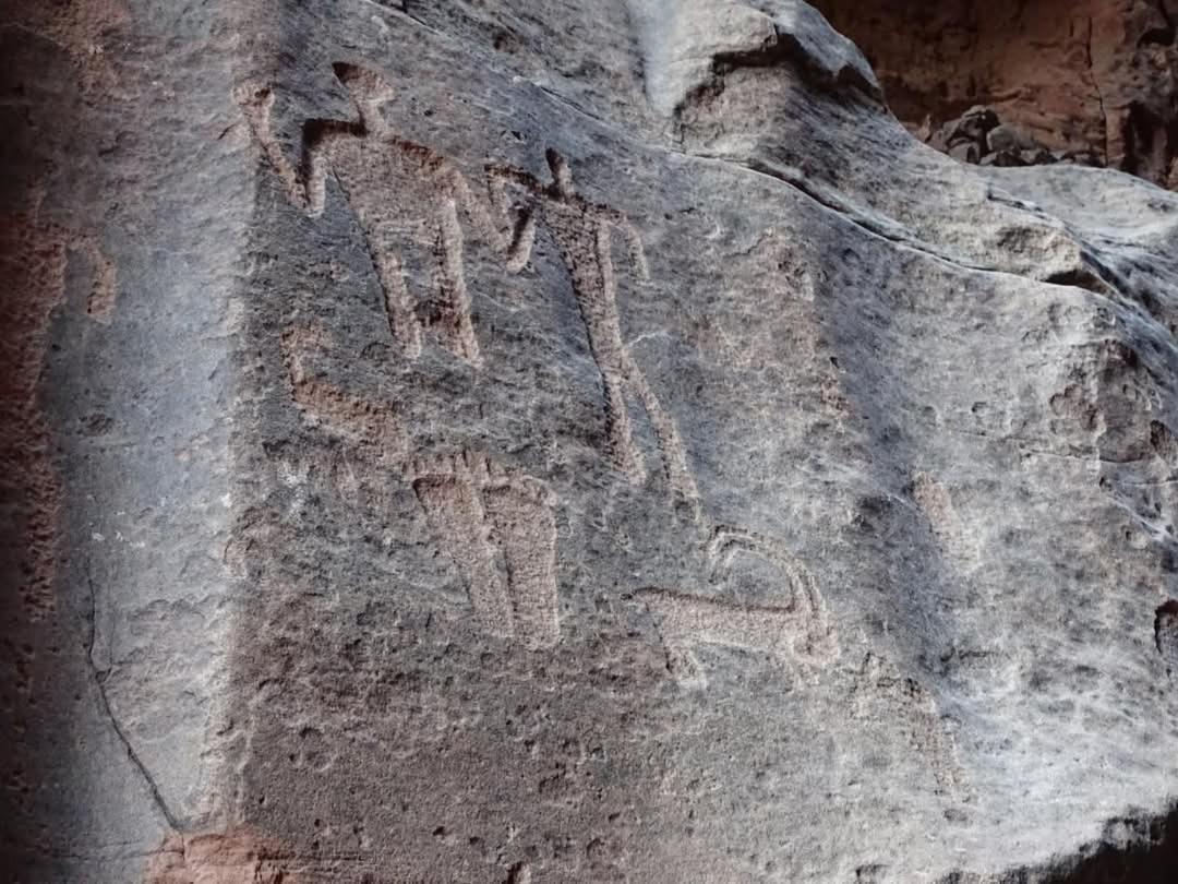 Wadi Rum Magic Nature Camp ภายนอก รูปภาพ